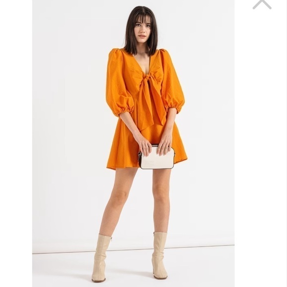 Ted Baker Jozelyn Bow Front Mini Dress NWT - Picture 9 of 16